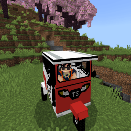 Mototaxis Addon